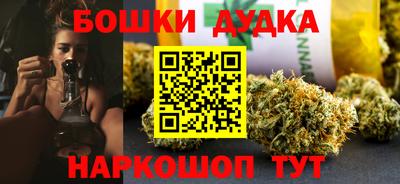сатива Новокубанск