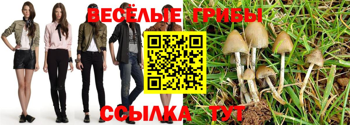 Псилоцибиновые грибы Psilocybe Гай